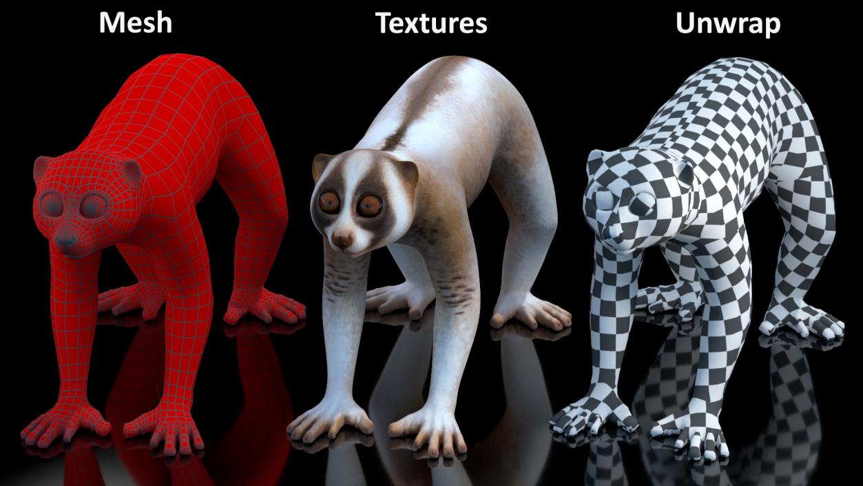 3D model Land Mammals Collection 3