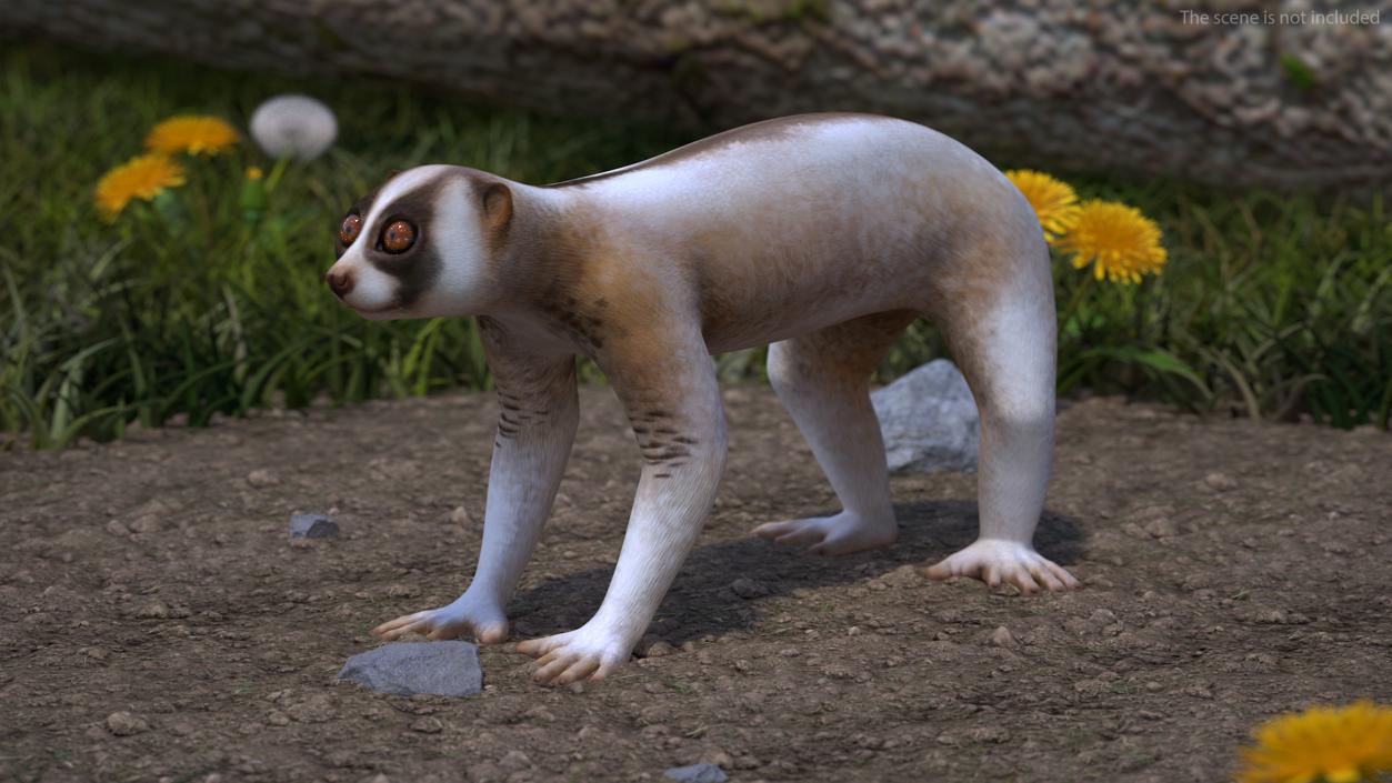 3D model Land Mammals Collection 3