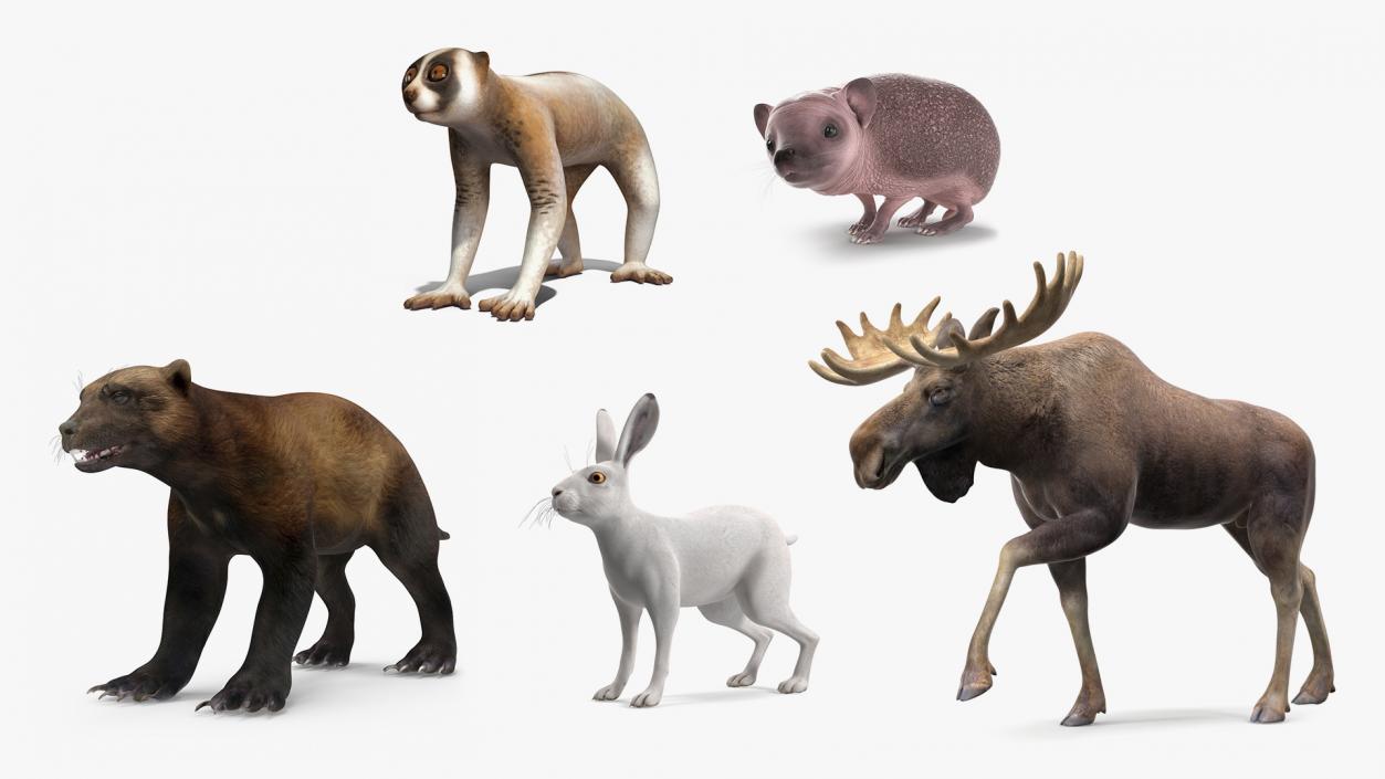 3D model Land Mammals Collection 3