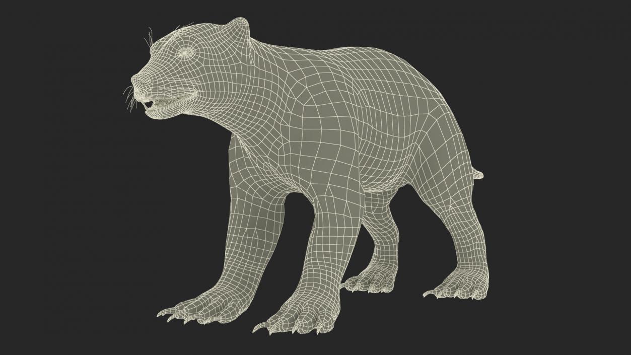 3D model Land Mammals Collection 3