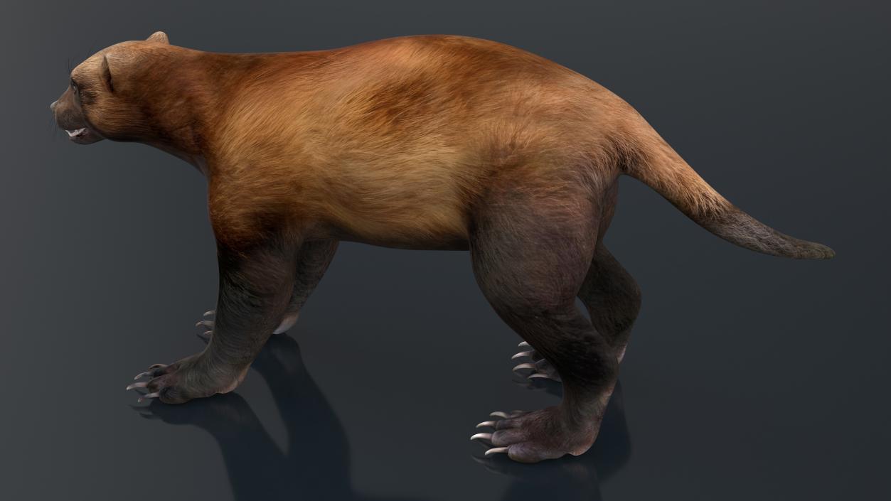 3D model Land Mammals Collection 3