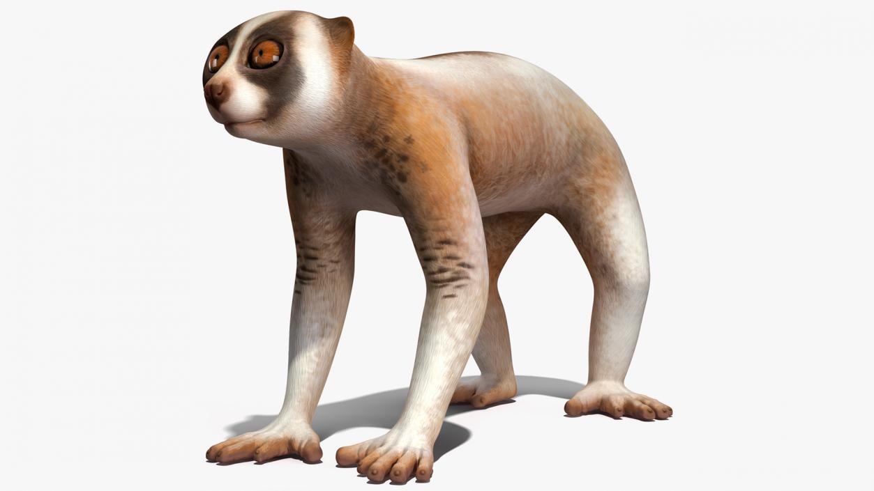 3D model Land Mammals Collection 3