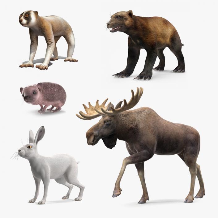 3D model Land Mammals Collection 3