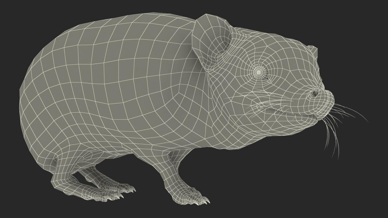 3D model Land Mammals Collection 3