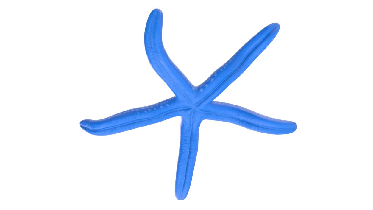 Sea Star Blue Crawling Pose 2 3D model