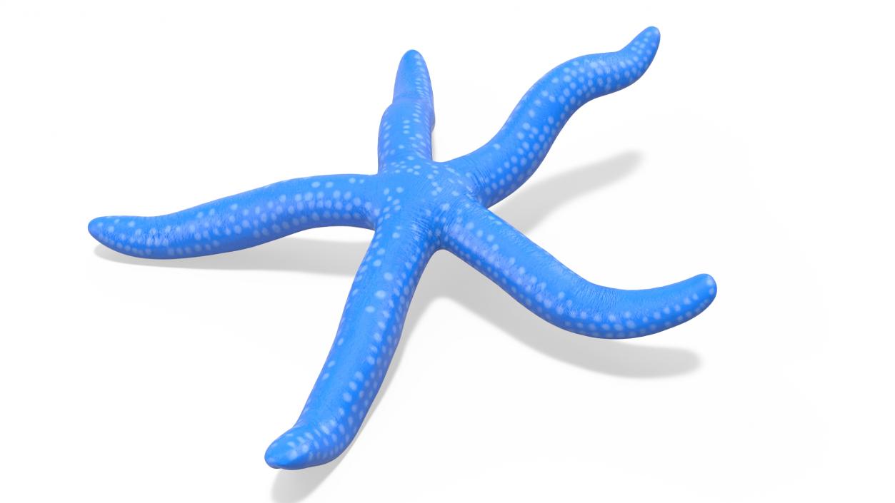 Sea Star Blue Crawling Pose 2 3D model