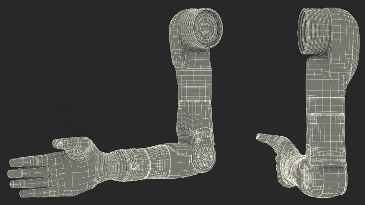 3D Bionic Arm Deka Rigged for Cinema 4D