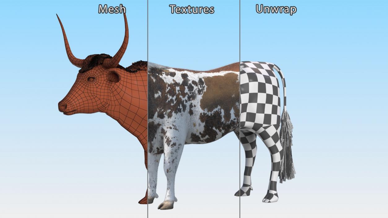 Texas Longhorn Mottled Brown Fur Rigged 3D model