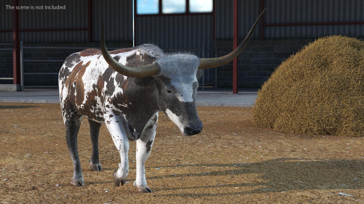 Texas Longhorn Mottled Brown Fur Rigged 3D model