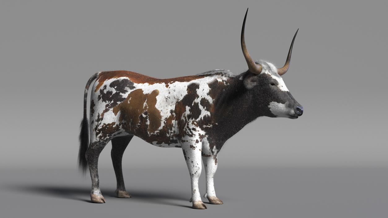 Texas Longhorn Mottled Brown Fur Rigged 3D model