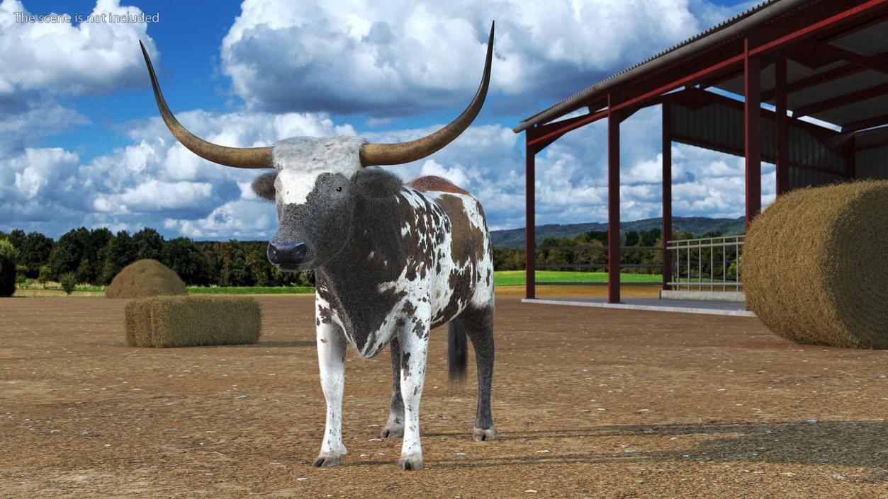 Texas Longhorn Mottled Brown Fur Rigged 3D model