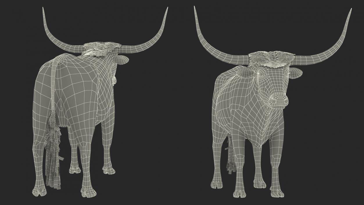 Texas Longhorn Mottled Brown Fur Rigged 3D model