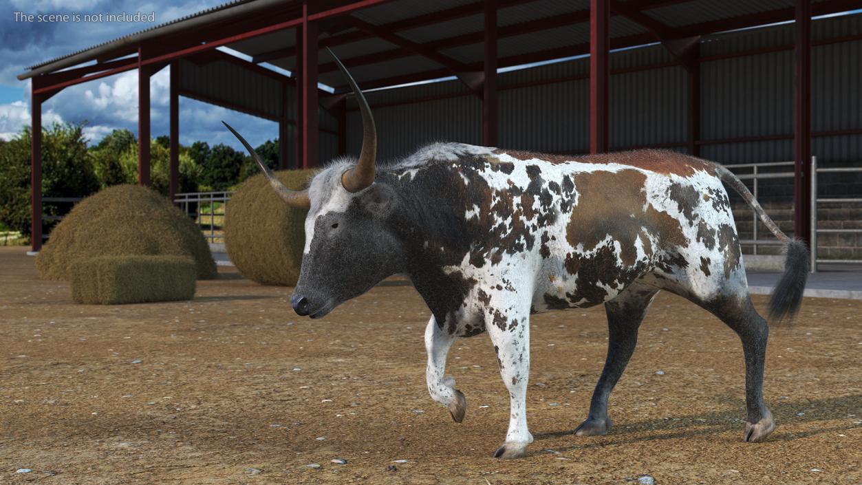 Texas Longhorn Mottled Brown Fur Rigged 3D model