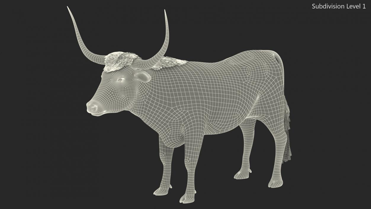 Texas Longhorn Mottled Brown Fur Rigged 3D model