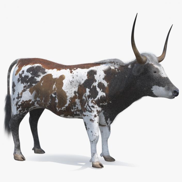 Texas Longhorn Mottled Brown Fur Rigged 3D model