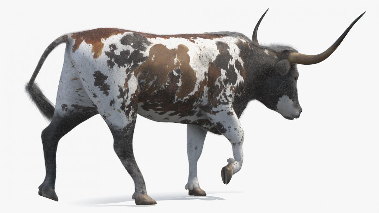 Texas Longhorn Mottled Brown Fur Rigged 3D model