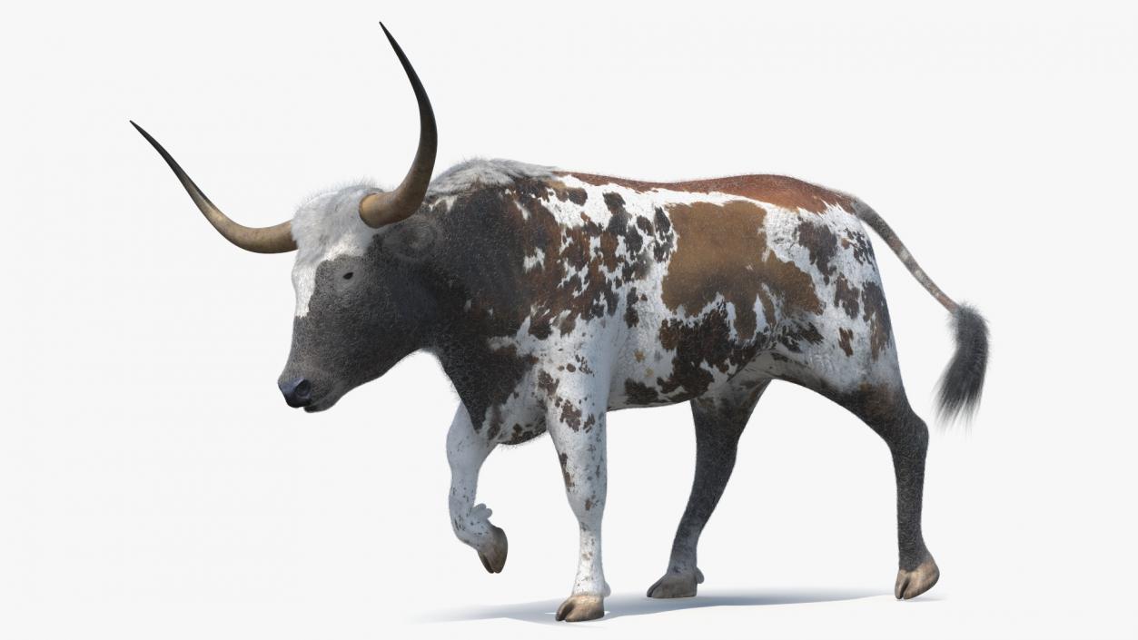 Texas Longhorn Mottled Brown Fur Rigged 3D model