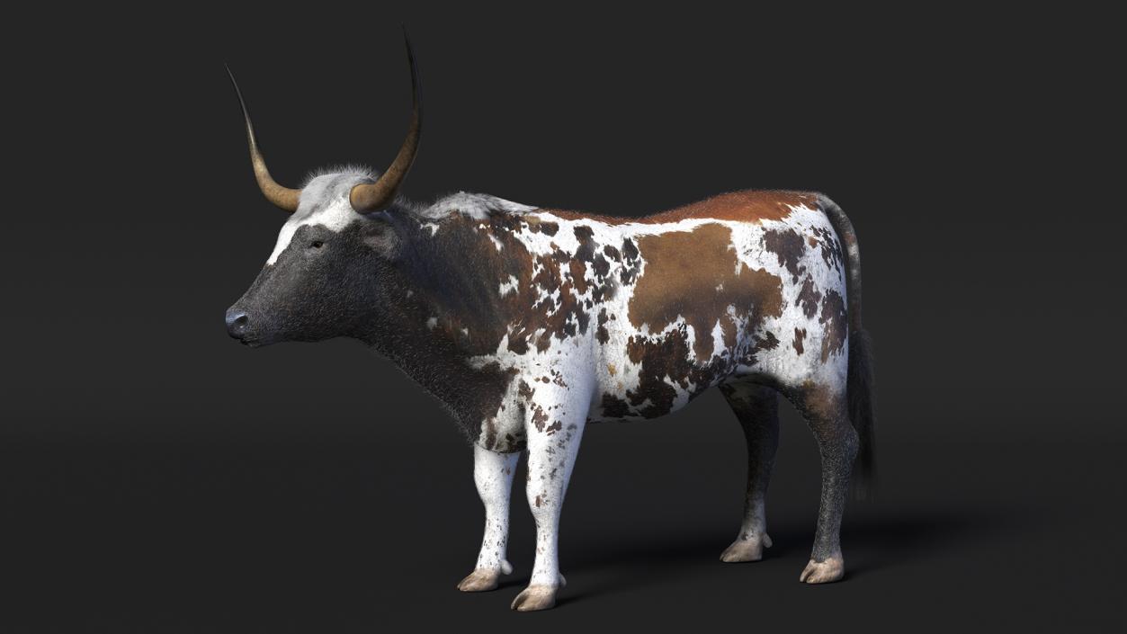 Texas Longhorn Mottled Brown Fur Rigged 3D model