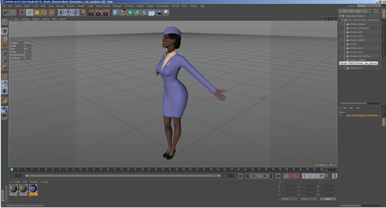 Dark Skinned Black Stewardess 3D model