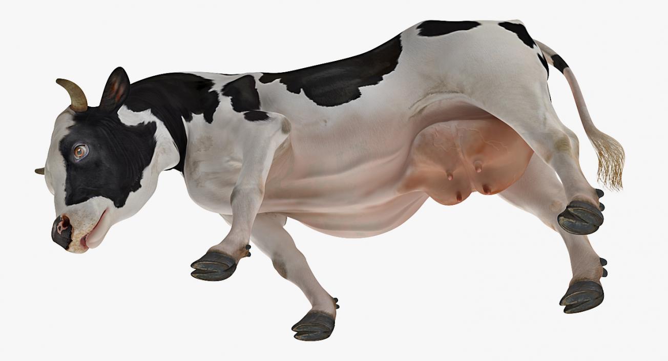 3D Dairy Cow Eating Pose