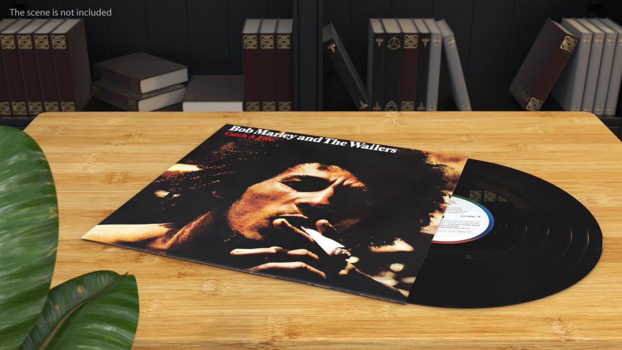 3D model Vinyl Record Albums Collection