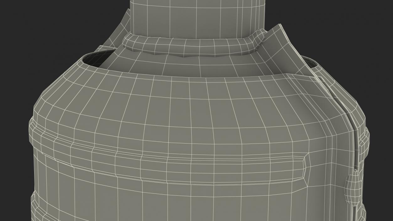 3D Catalytic Converter Cross Section model