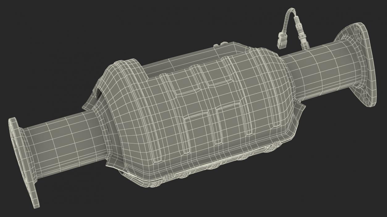 3D Catalytic Converter Cross Section model