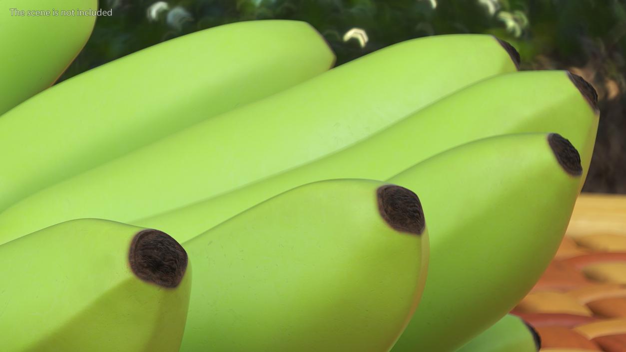 3D model Unripe Green Banana Bunch