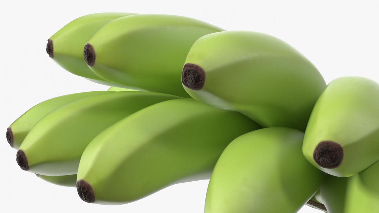 3D model Unripe Green Banana Bunch