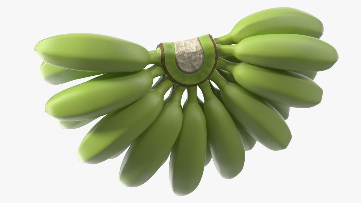 3D model Unripe Green Banana Bunch