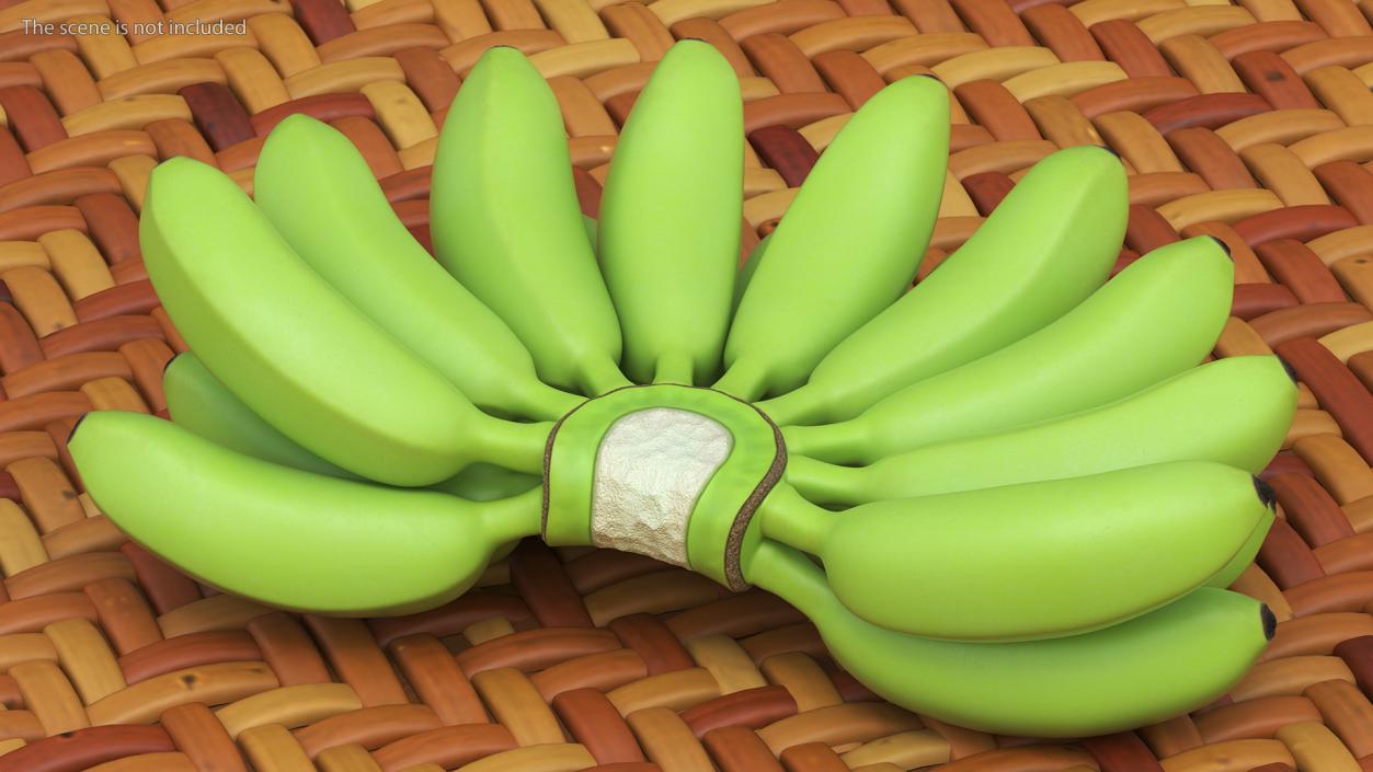 3D model Unripe Green Banana Bunch