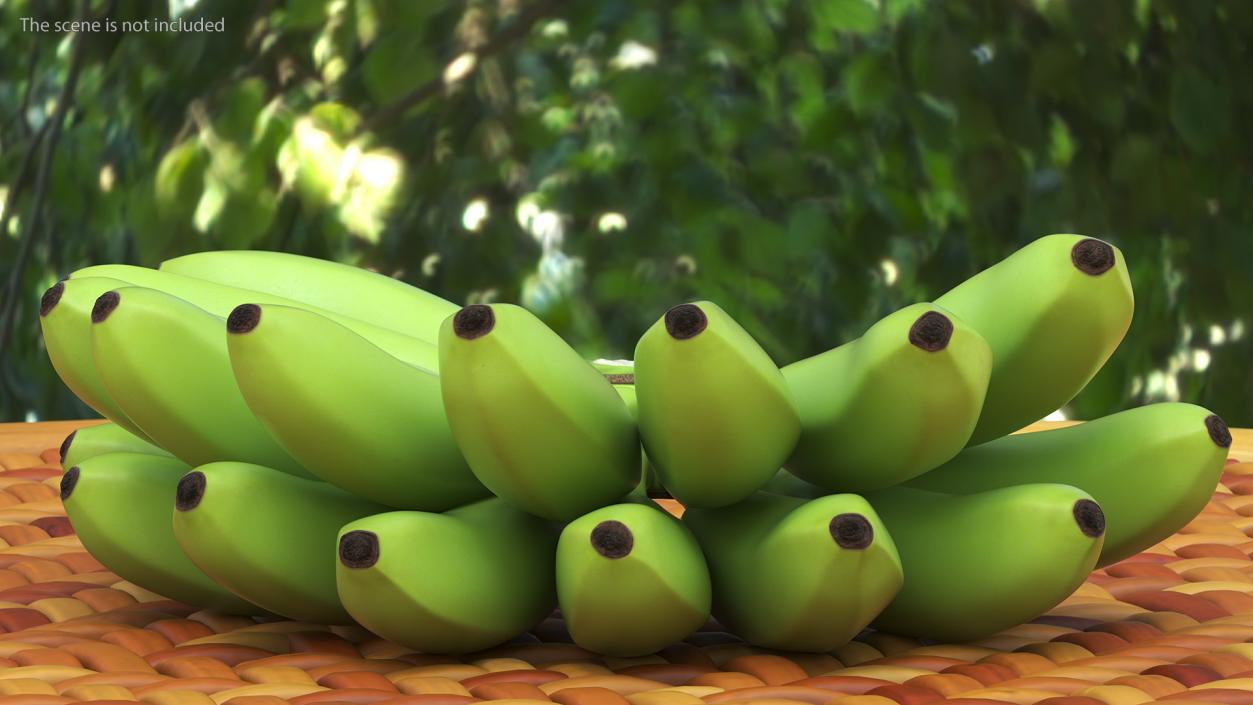 3D model Unripe Green Banana Bunch