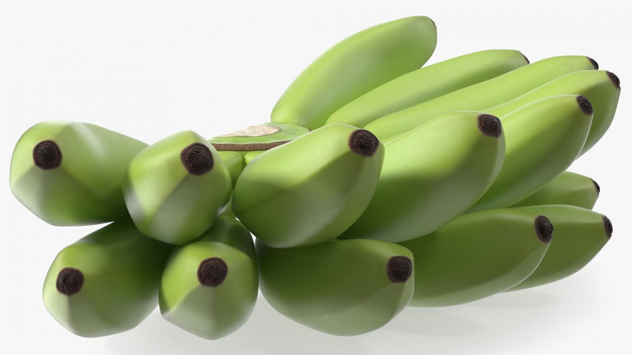 3D model Unripe Green Banana Bunch