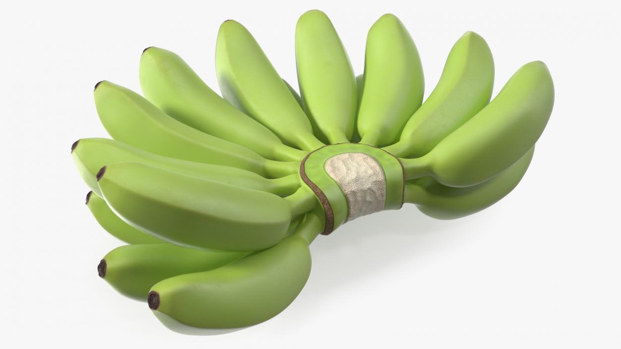 3D model Unripe Green Banana Bunch