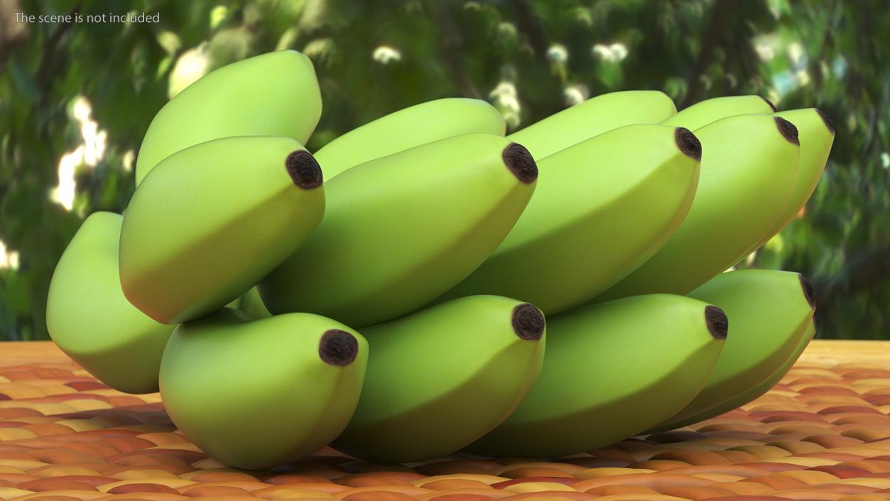 3D model Unripe Green Banana Bunch