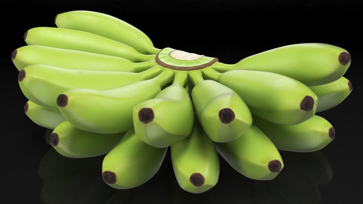 3D model Unripe Green Banana Bunch