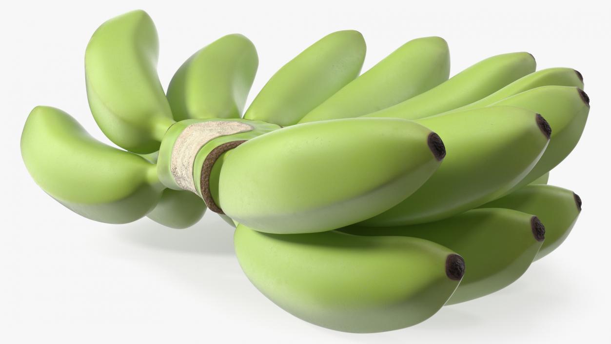 3D model Unripe Green Banana Bunch