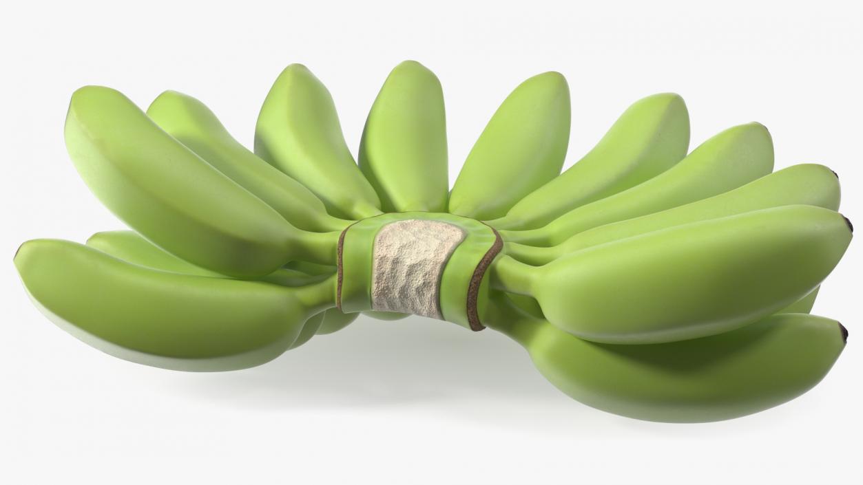 3D model Unripe Green Banana Bunch