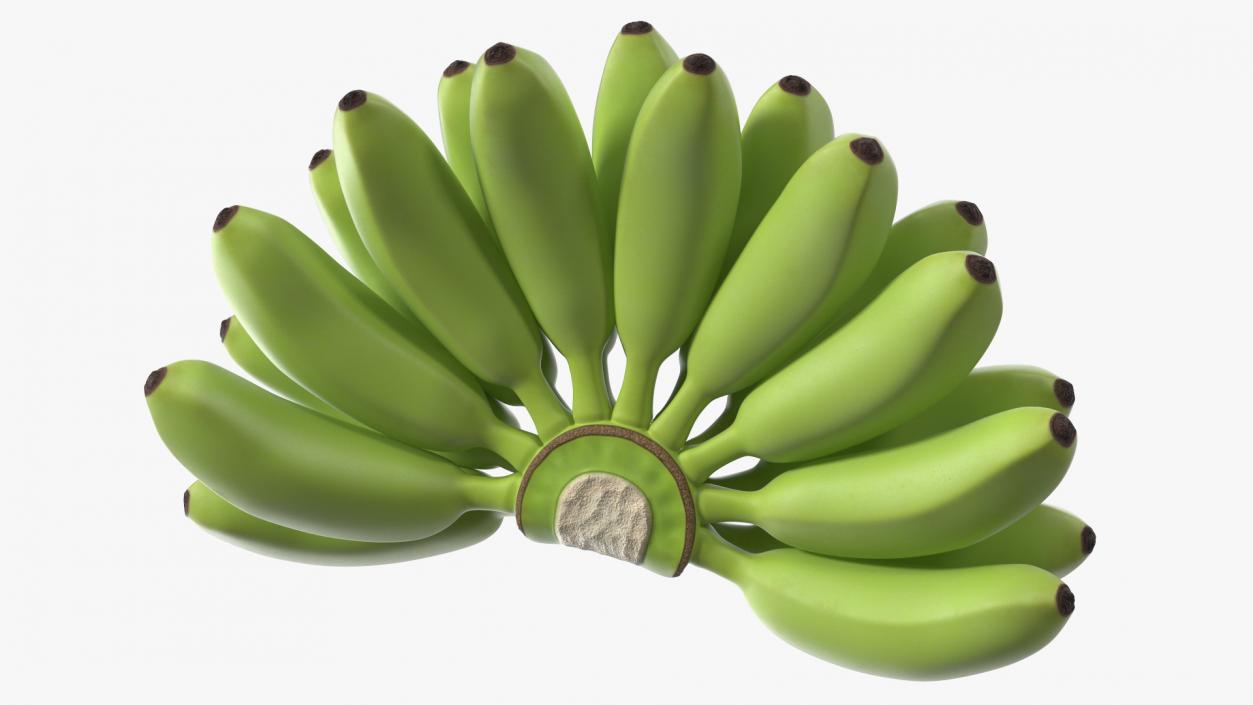 3D model Unripe Green Banana Bunch