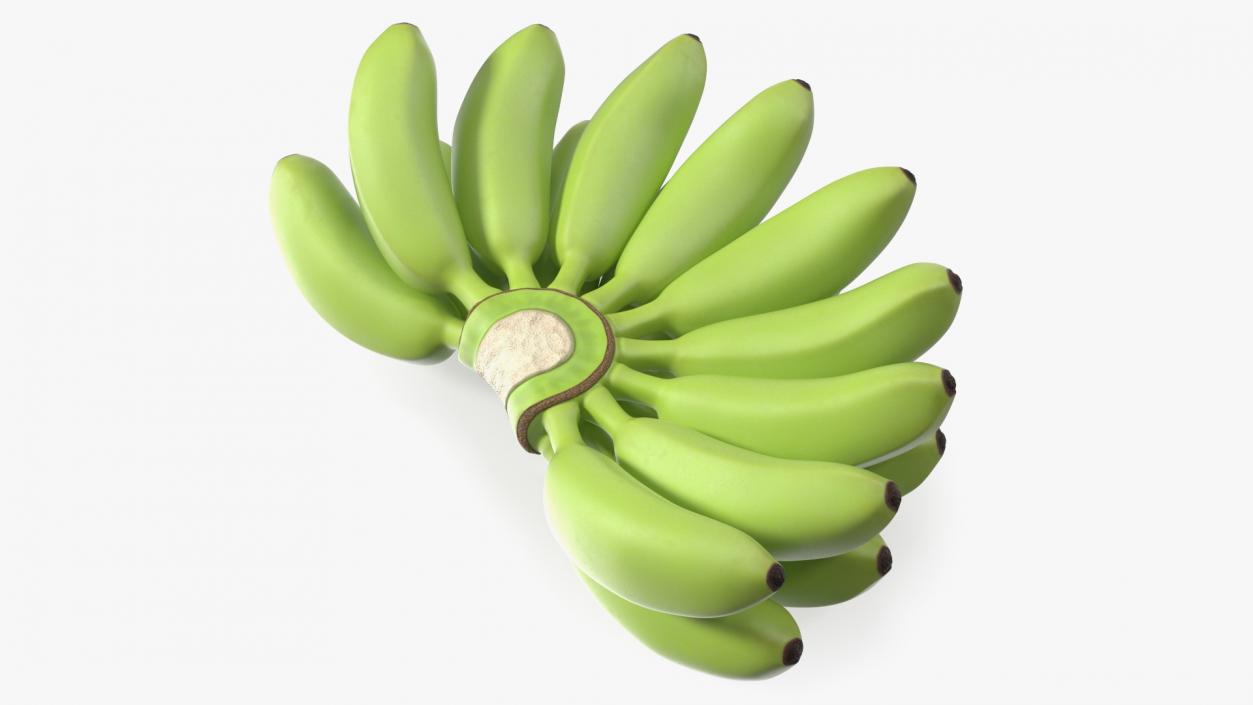 3D model Unripe Green Banana Bunch