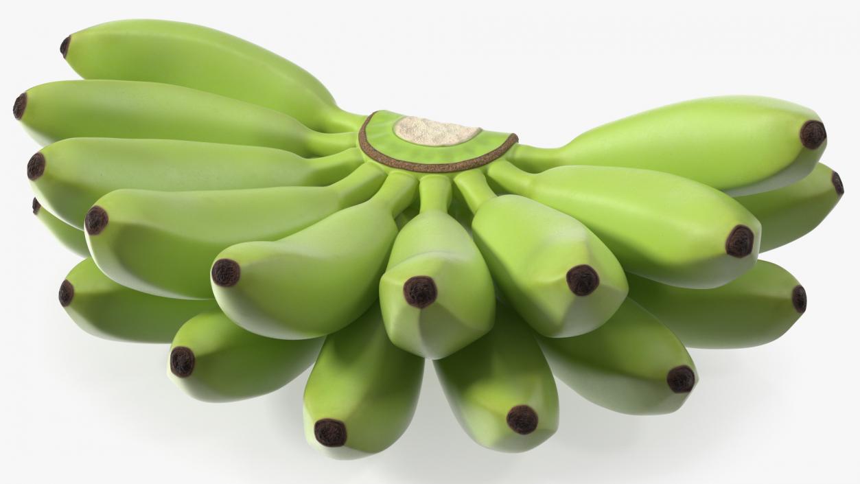 3D model Unripe Green Banana Bunch