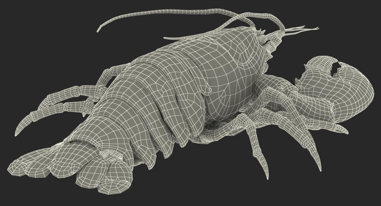 Lobster Pose 2 3D model