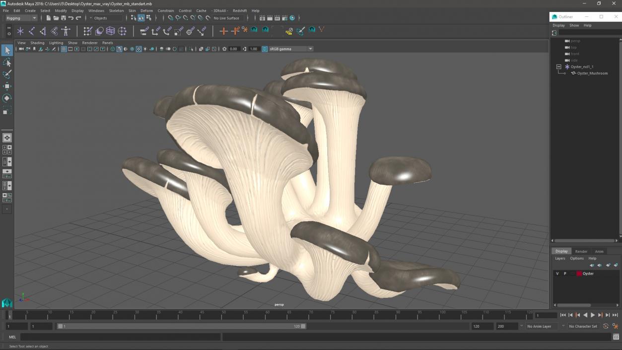 3D model Oyster 4