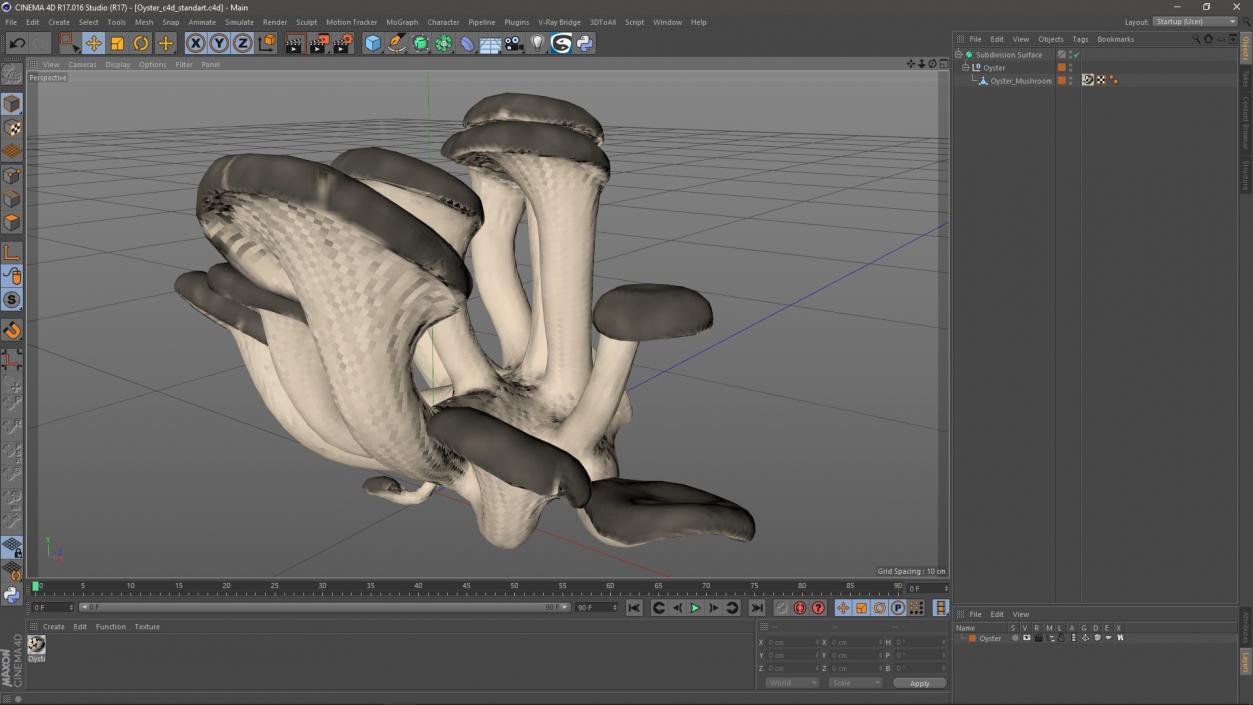 3D model Oyster 4