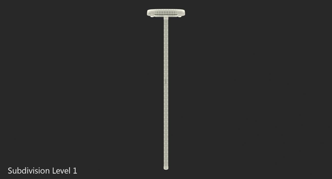 3D Curling Broom model