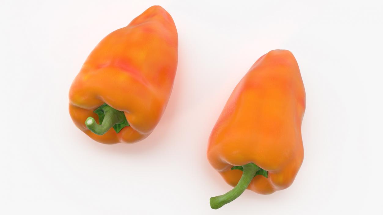 Sweet Long Pepper Orange 3D model