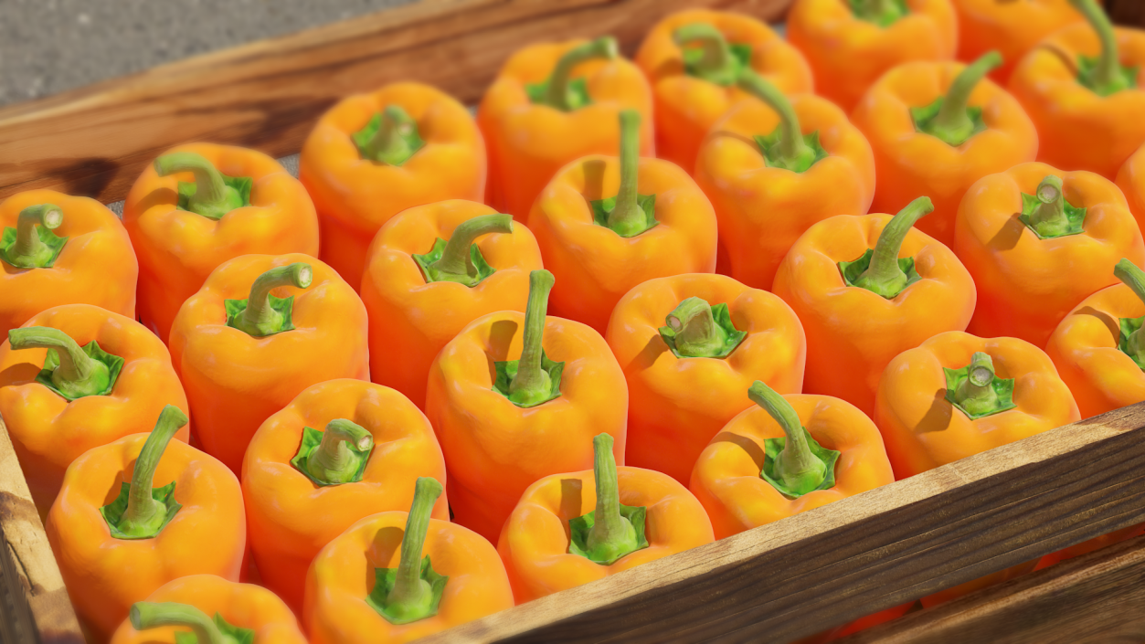 Sweet Long Pepper Orange 3D model