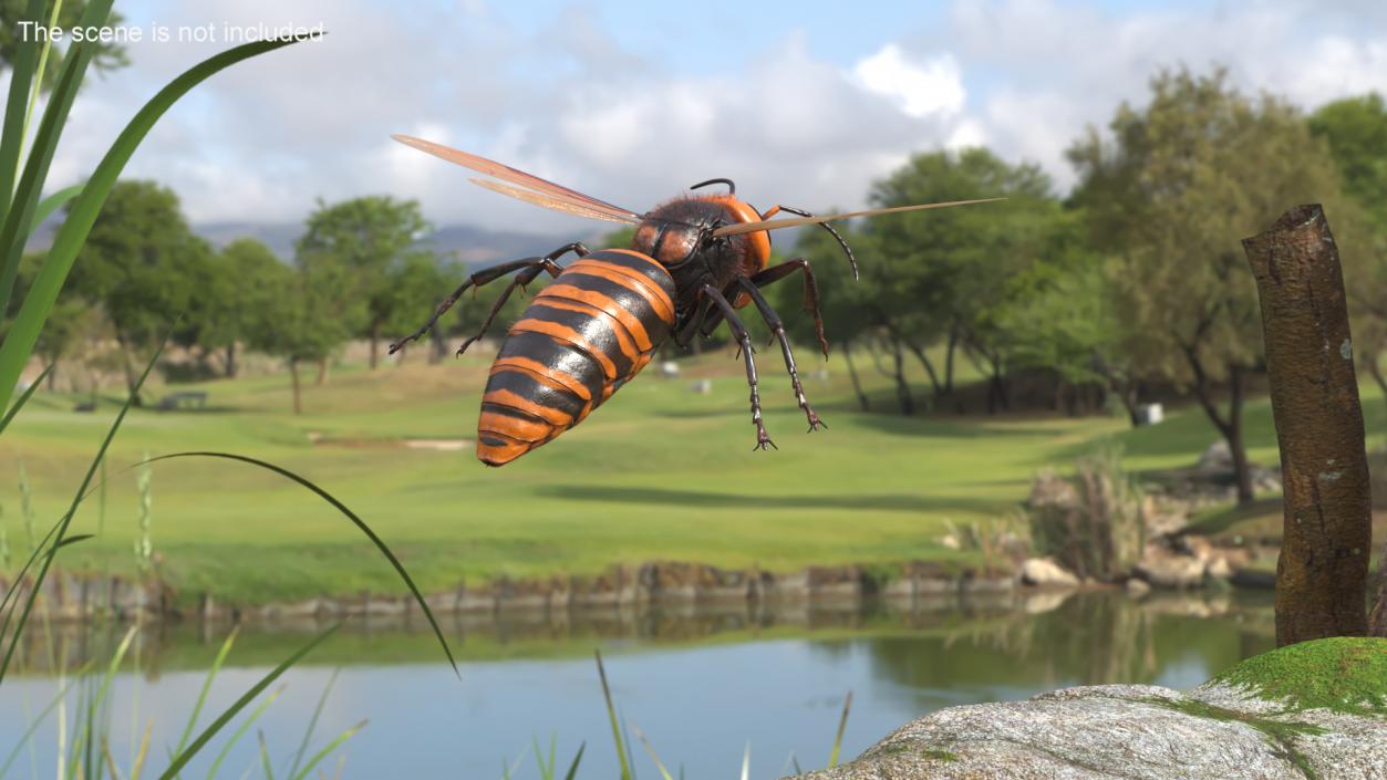 3D Giant Asian Hornet Fur Flying Pose 2