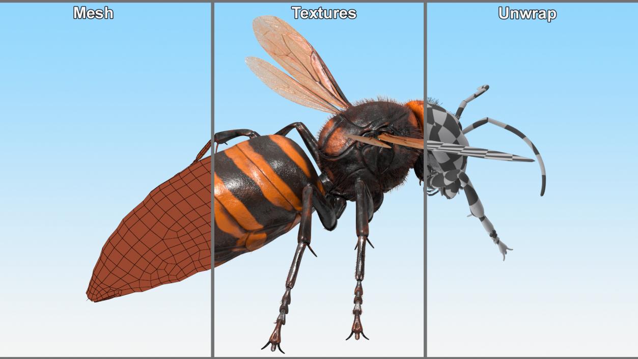 3D Giant Asian Hornet Fur Flying Pose 2