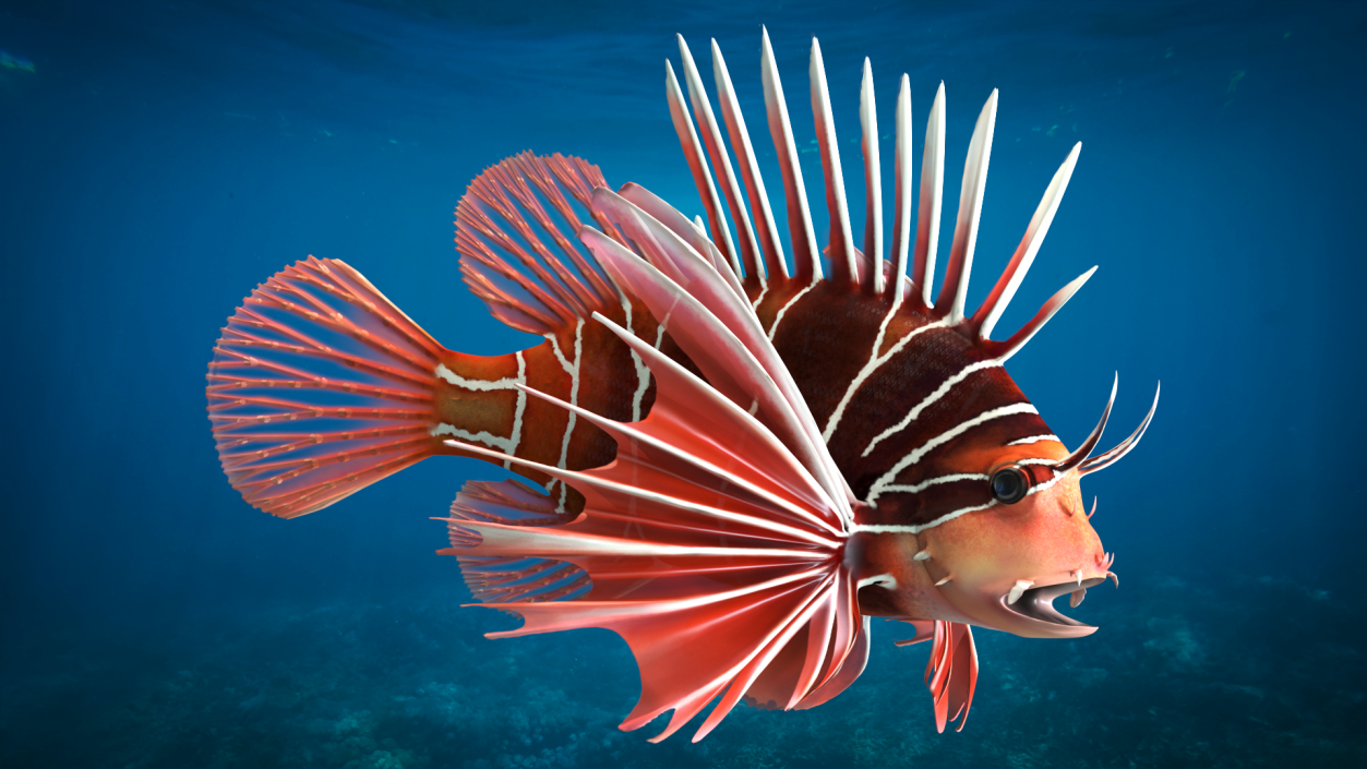 Clearfin Lionfish 3D